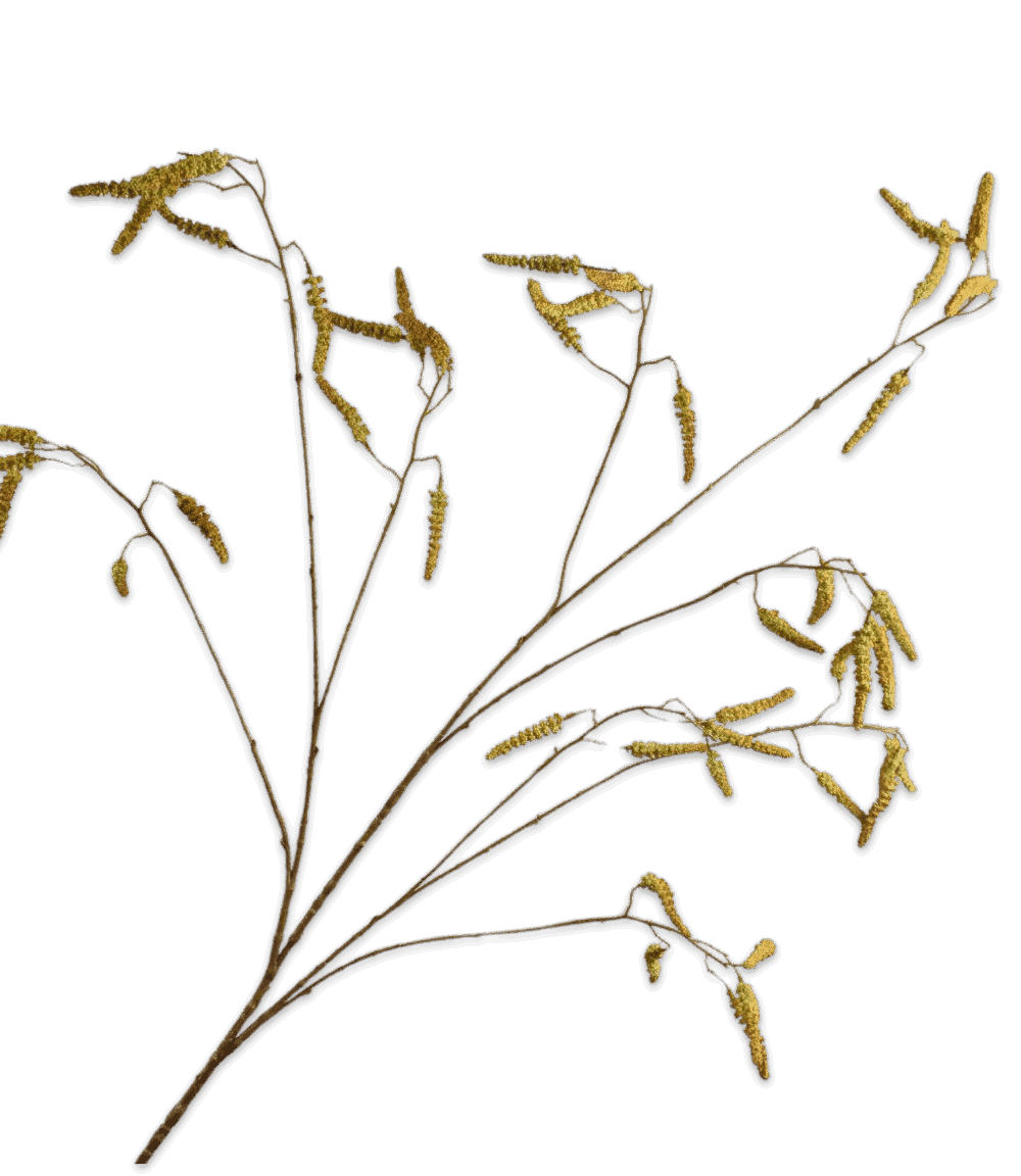 Silk-ka wilgentak groen bruin