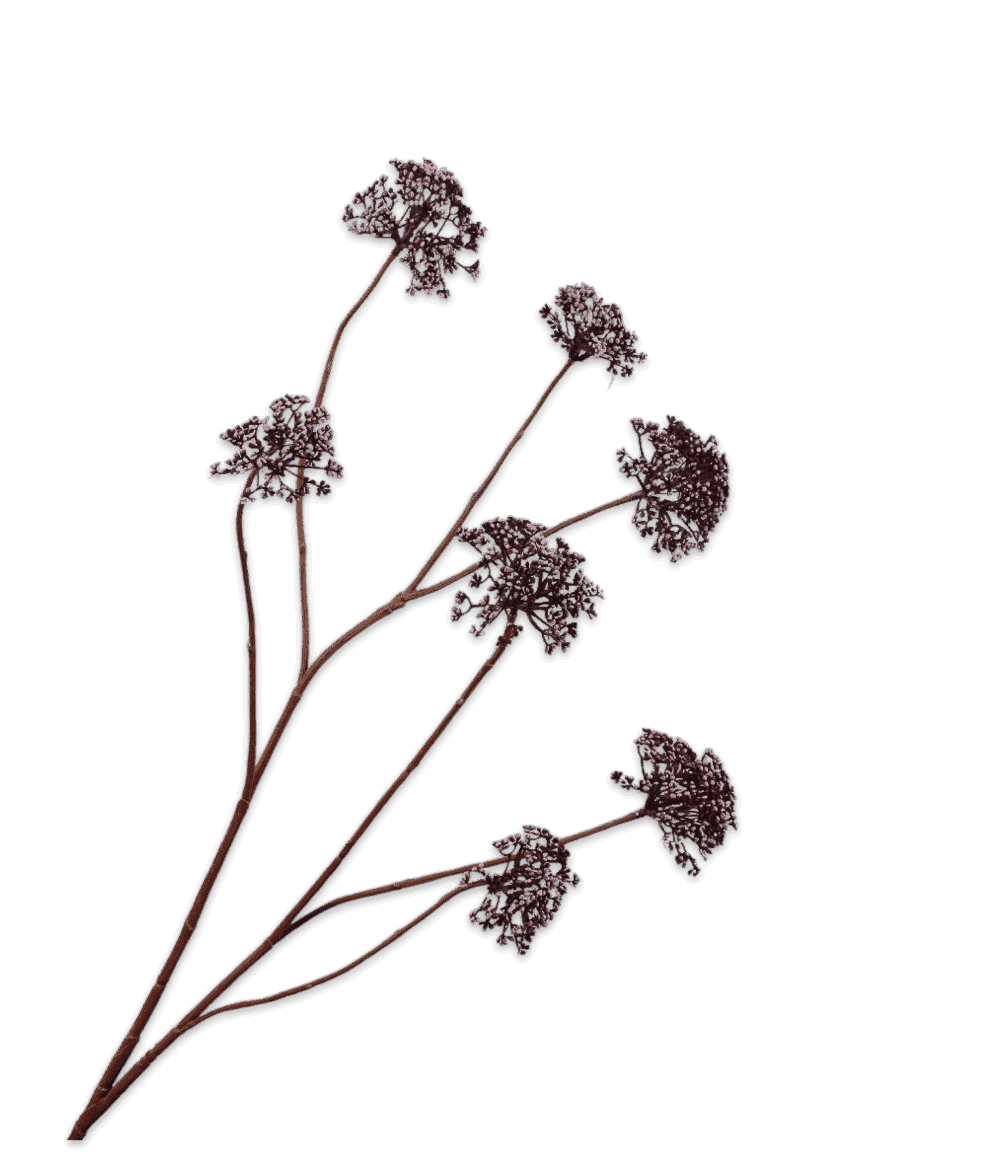 DILLE TAK BORDEAUX 105 cm