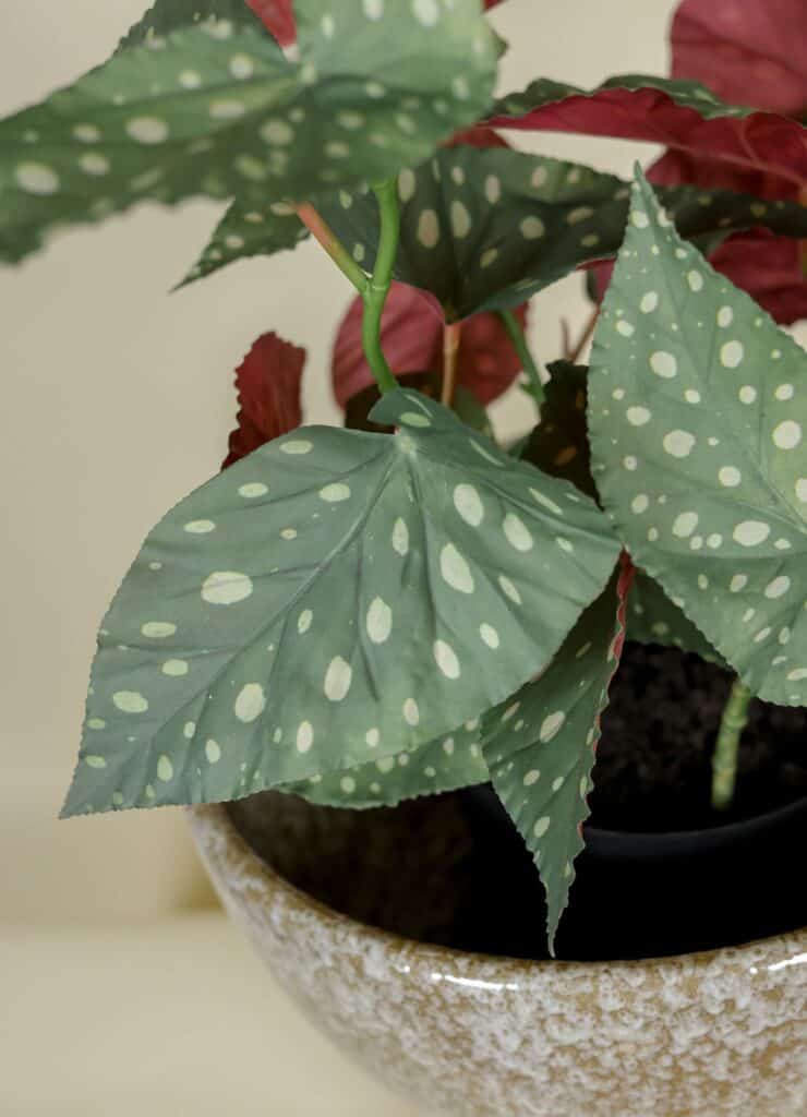 Begonia kunstplant 62 cm