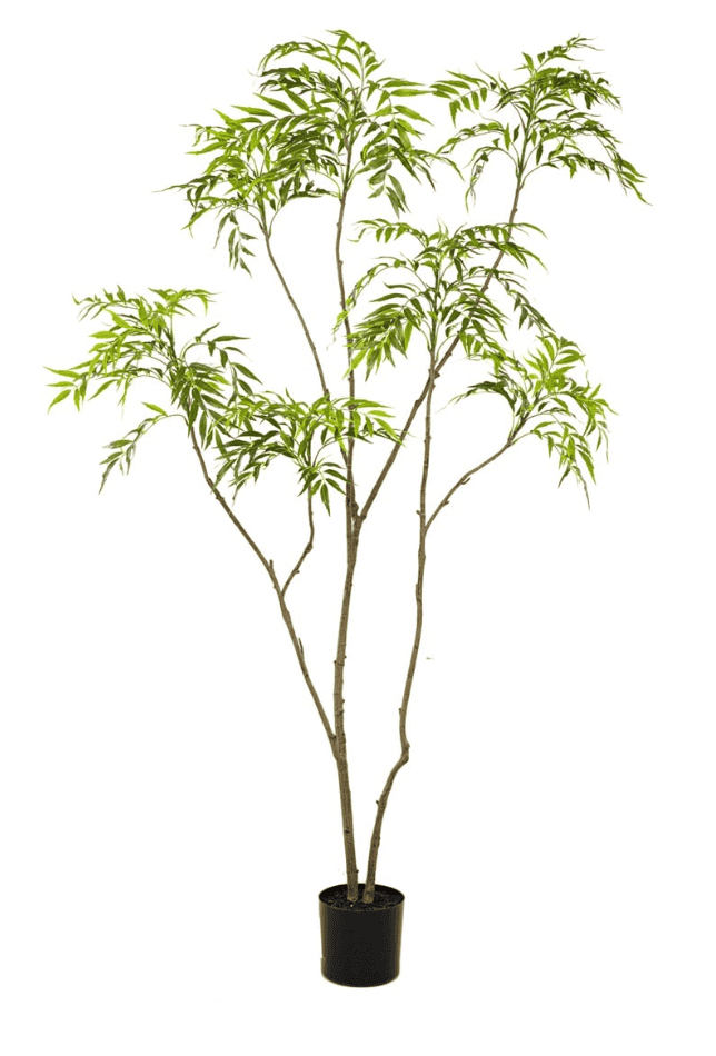 Mahonie kunstboom 210 cm
