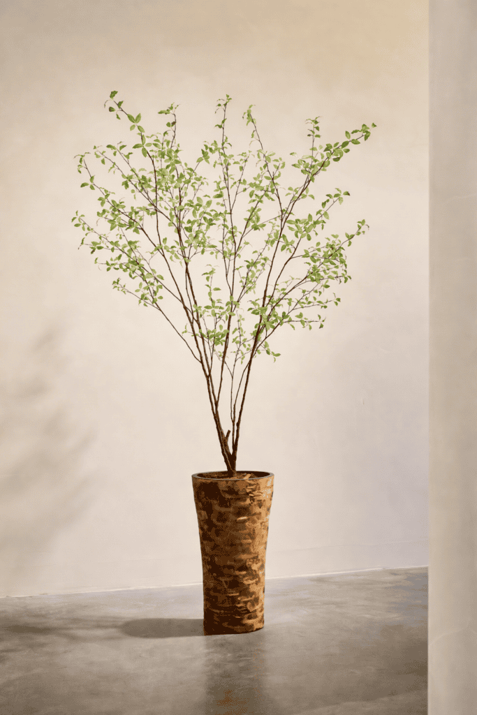 Pittosporum kunstboom 250cm