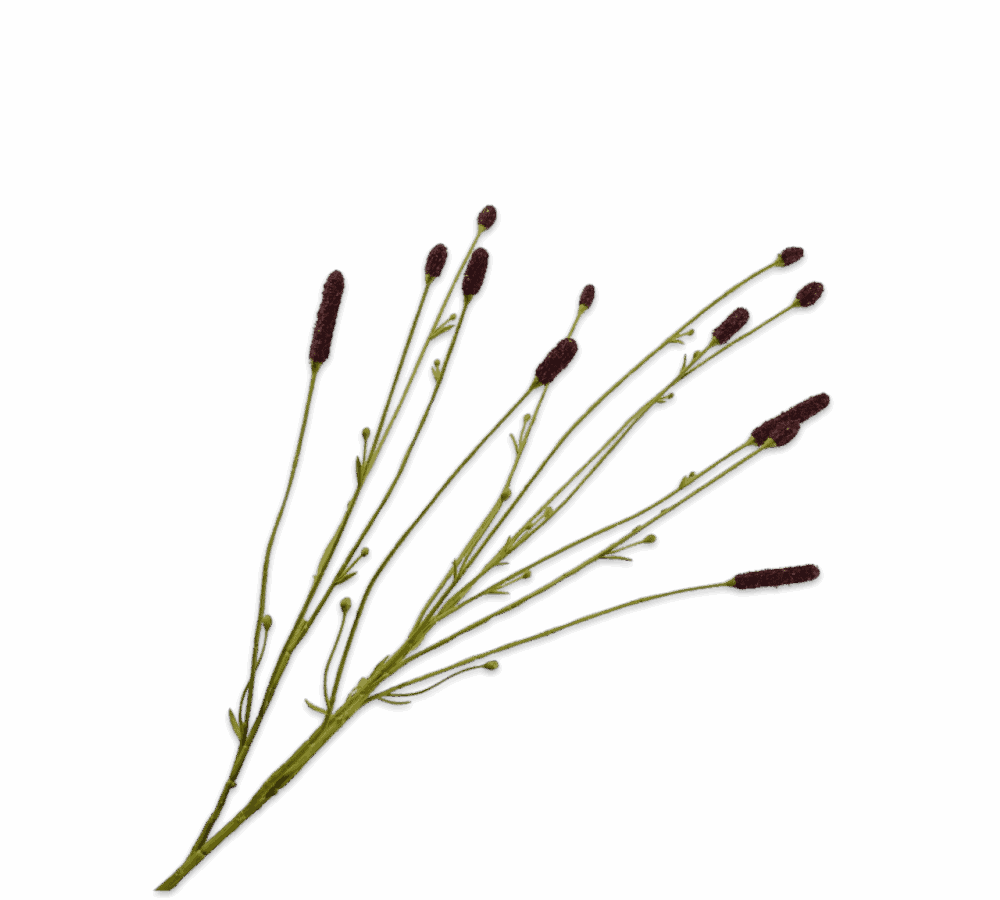 Pimpernel tak bruin Silk-ka 84 cm