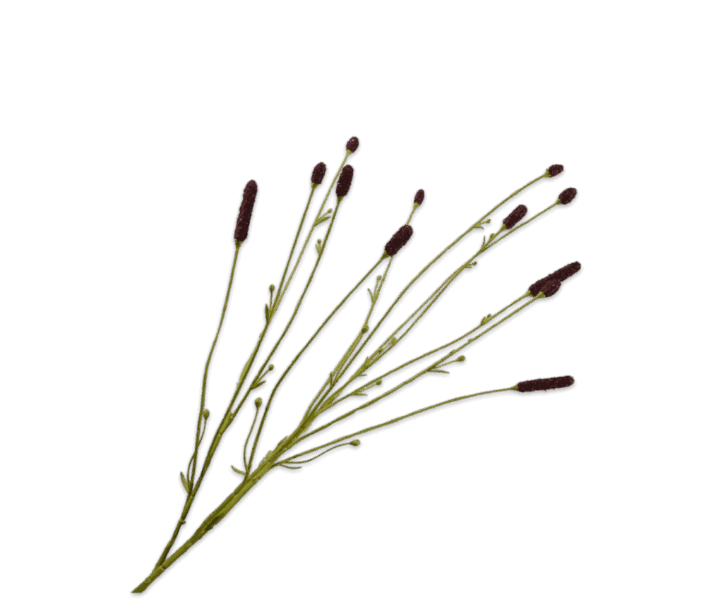 Pimpernel tak bruin Silk-ka 84 cm