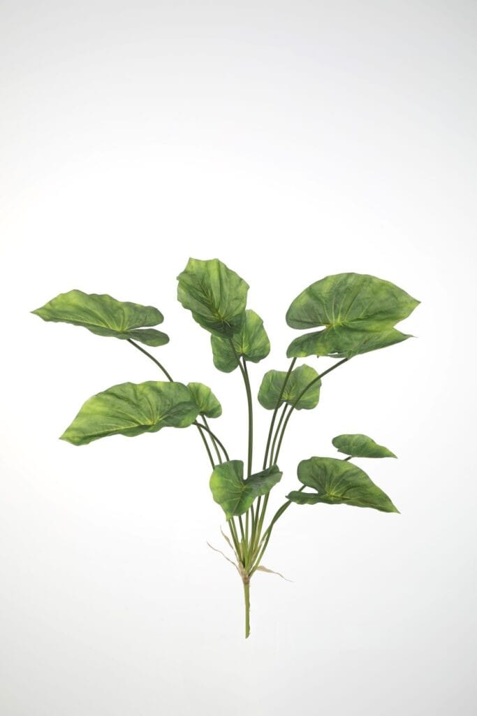 Kunbstplant Caladium steker 71cm