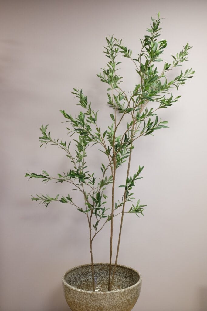 Kunst olijfboom Silk-ka