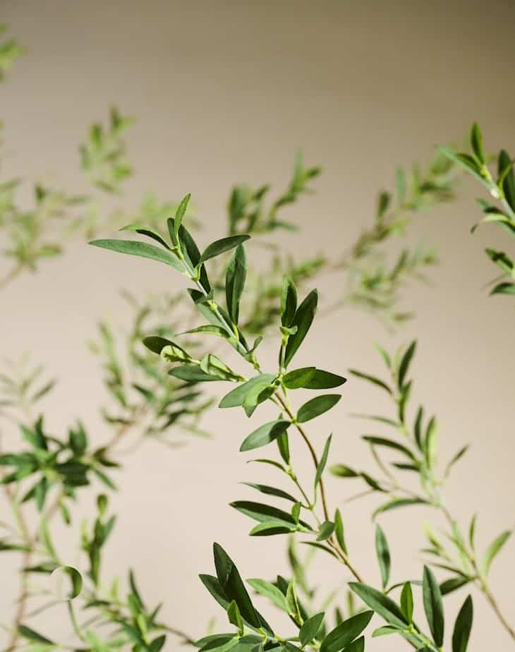 Kunstboom Olijf silk-ka