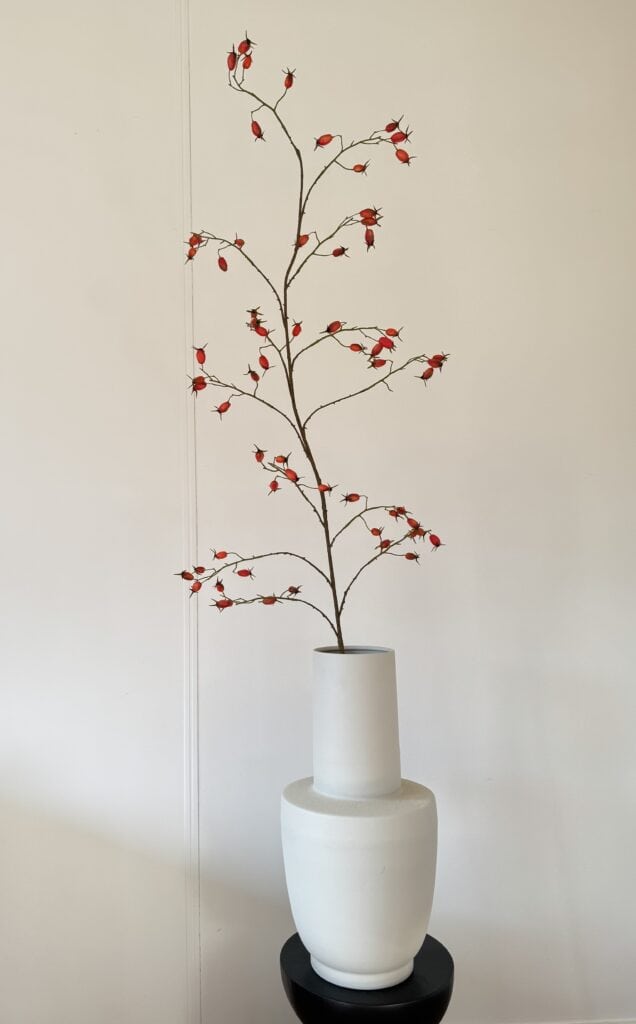 Rozenbottel tak Silk-ka oranje 168 cm