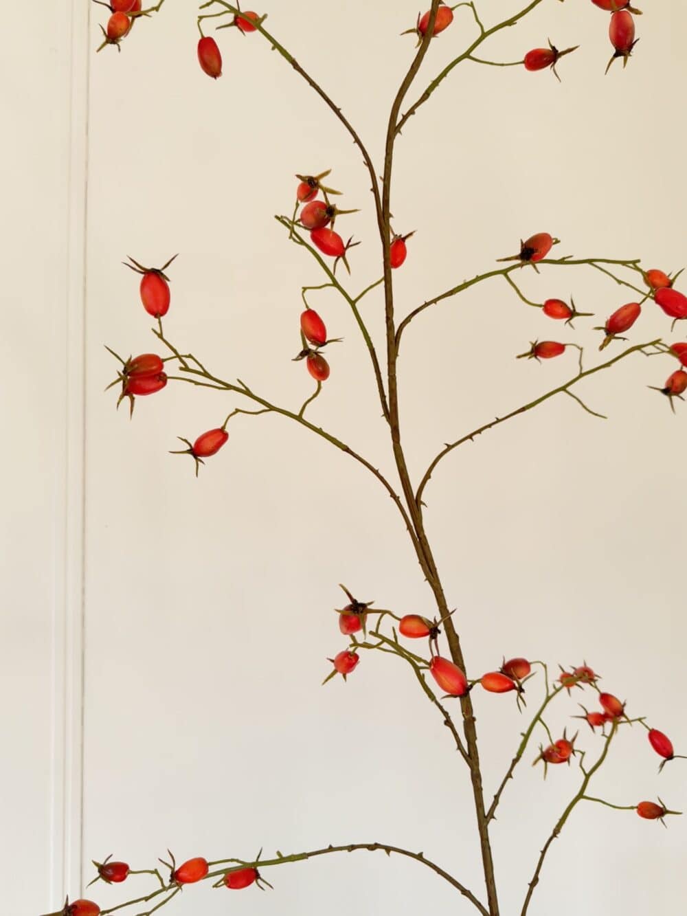 Rozenbottel tak Silk-ka oranje 168 cm