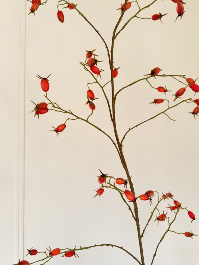 Rozenbottel tak Silk-ka oranje 168 cm