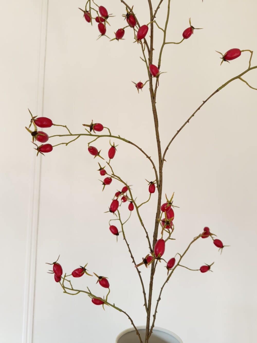 Rozenbottel tak rood 168 cm Silk-ka