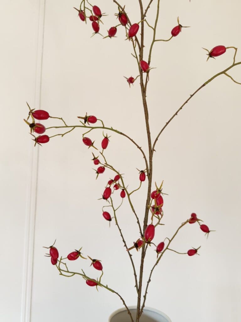 Rozenbottel tak rood 168 cm Silk-ka