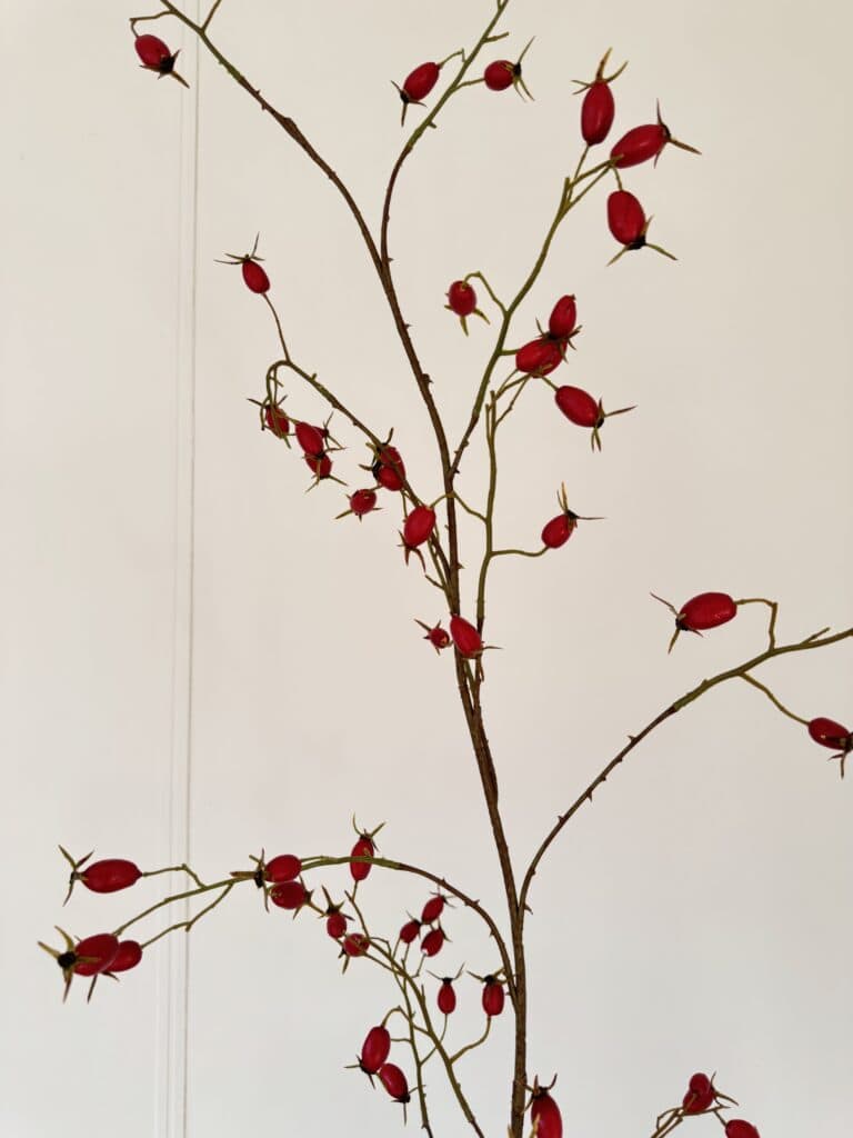 Rozenbottel tak rood 168 cm Silk-ka