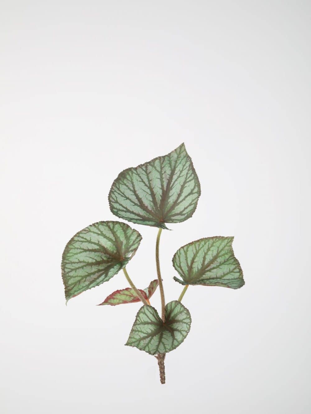 Begonia kunstplant steker 35cm