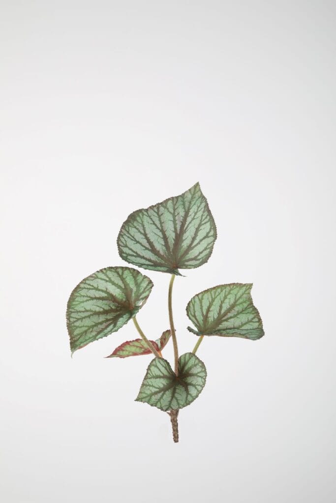 Begonia kunstplant steker 35cm