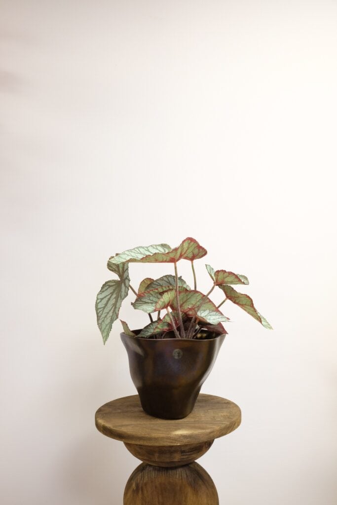 Begonia kunstplant steker 35cm