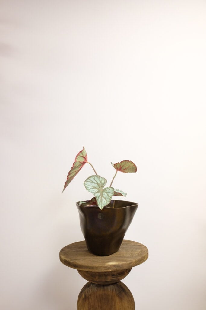 Begonia kunstplant steker 35cm