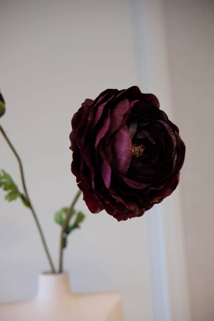 Zijden ranonkels – tijdloze luxe met natuurlijke verfijning