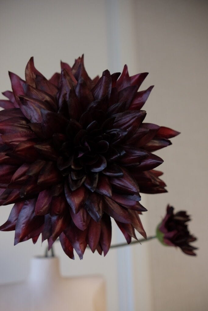 Zijden Dahlia’s – weelderige luxe voor elk interieur