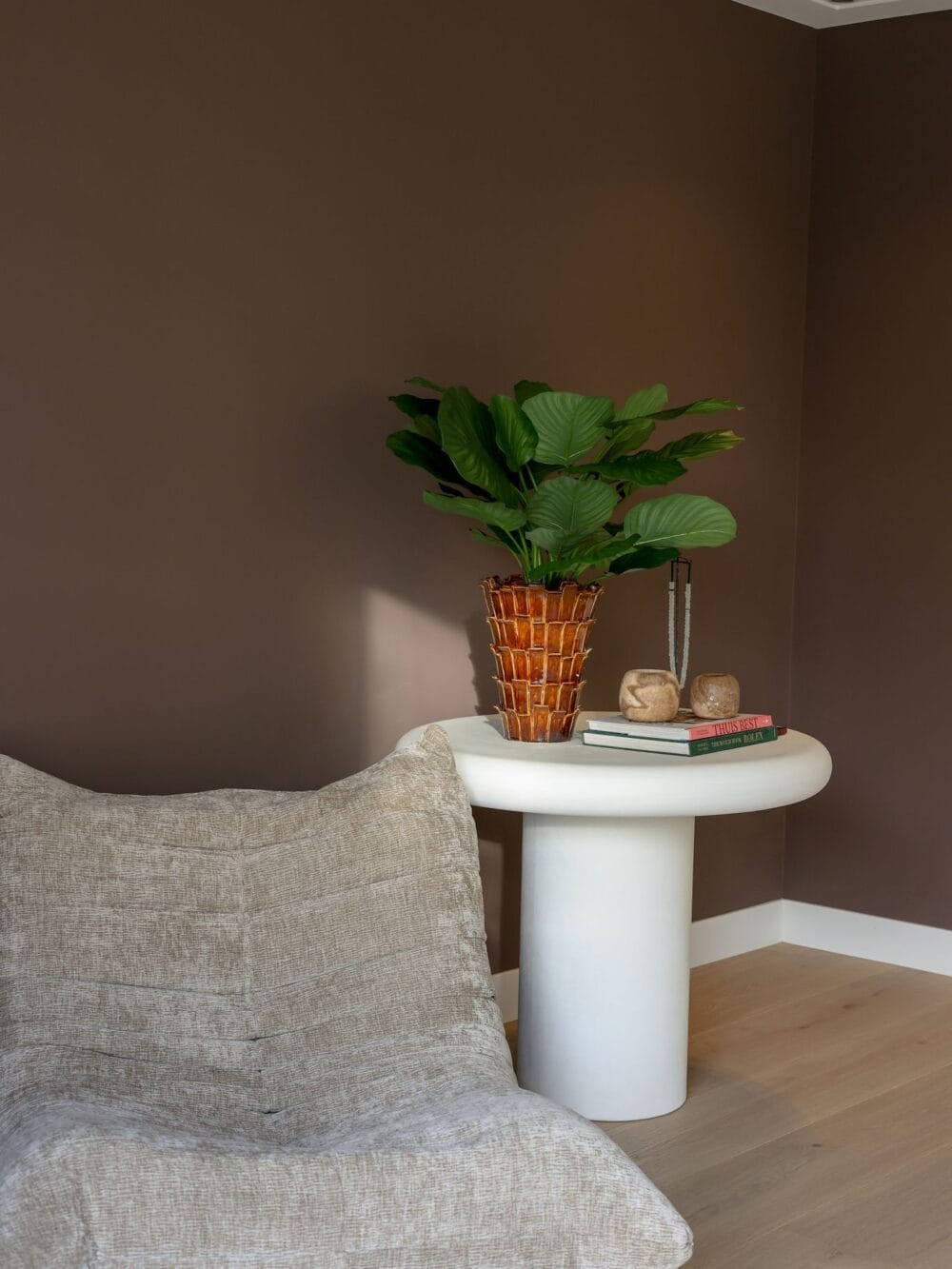 Calathea Fasciata Plant 76cm