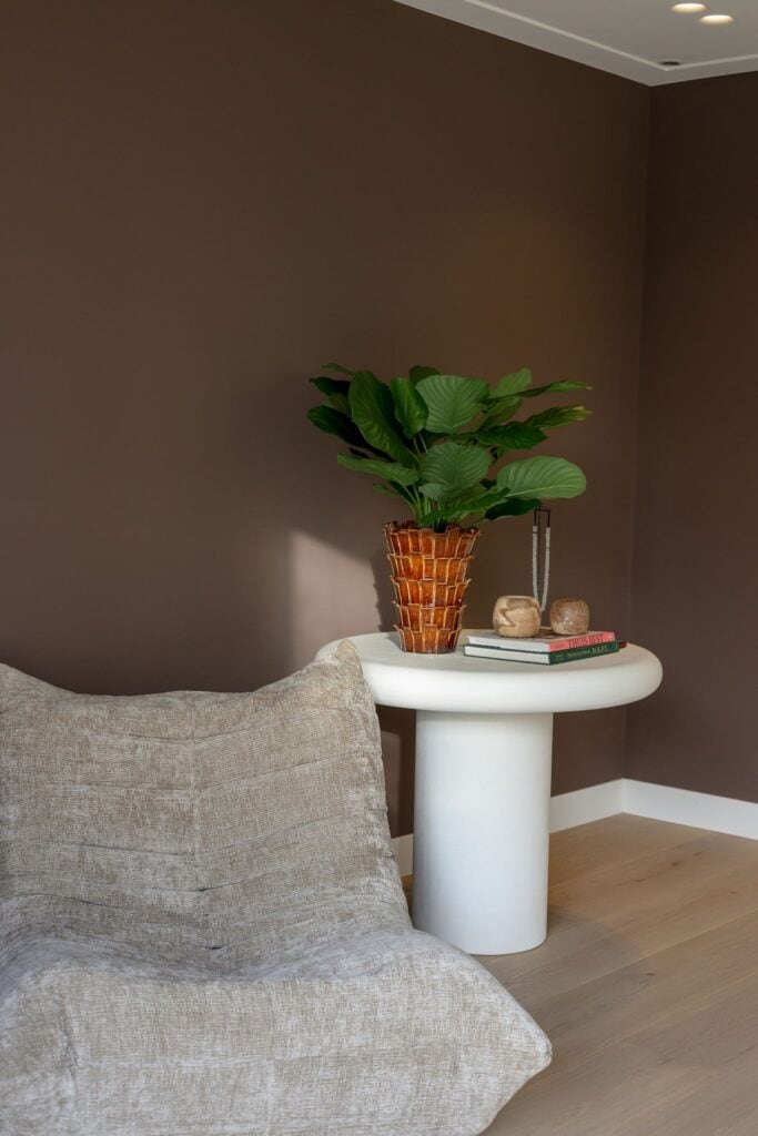 Calathea Fasciata Plant 76cm