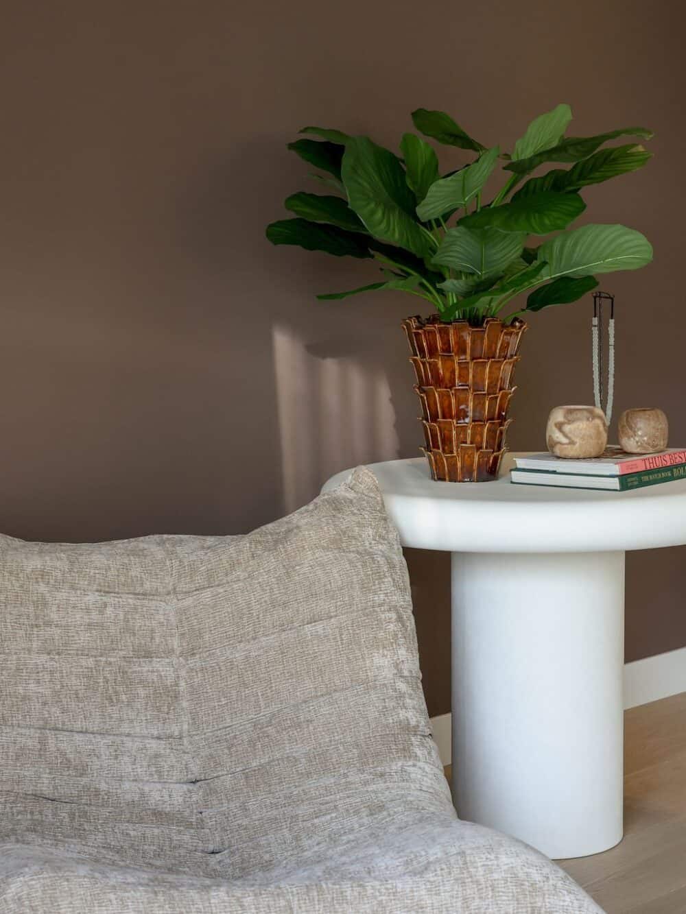 Calathea Fasciata Plant 76cm