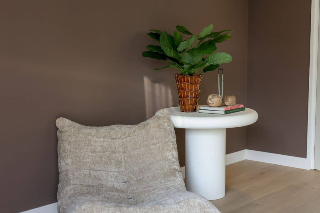 Calathea Fasciata Plant 76cm