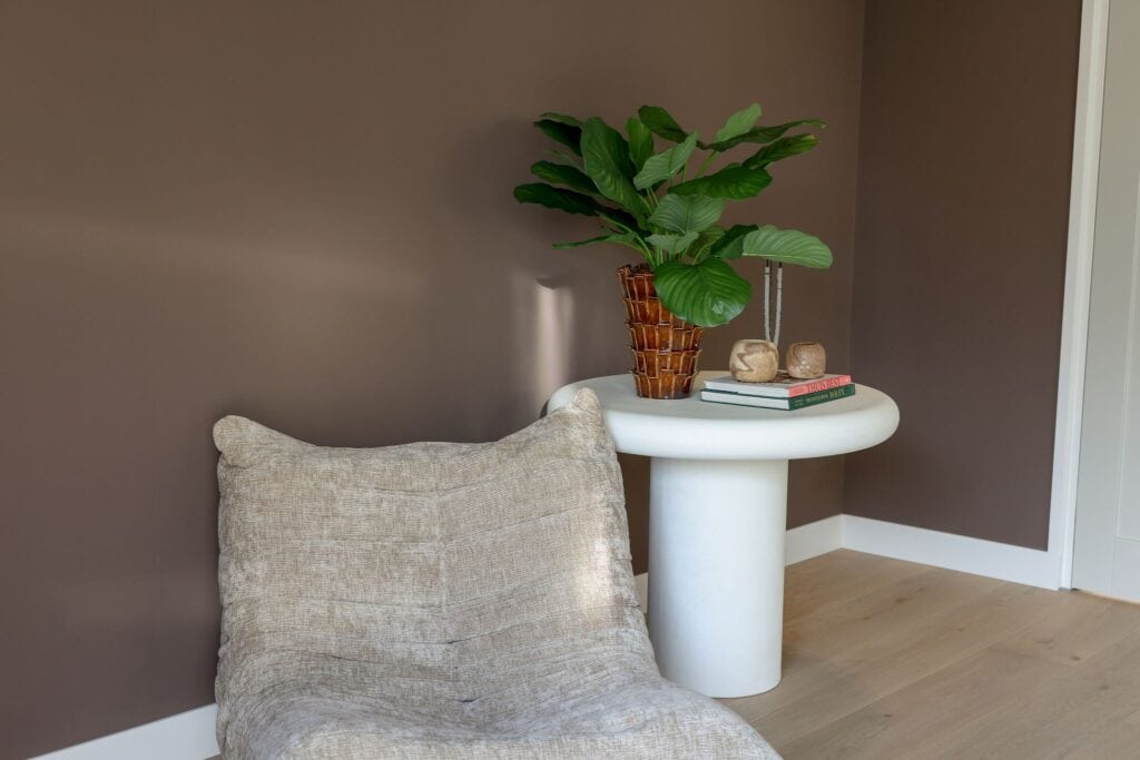 Calathea Fasciata Plant 76cm