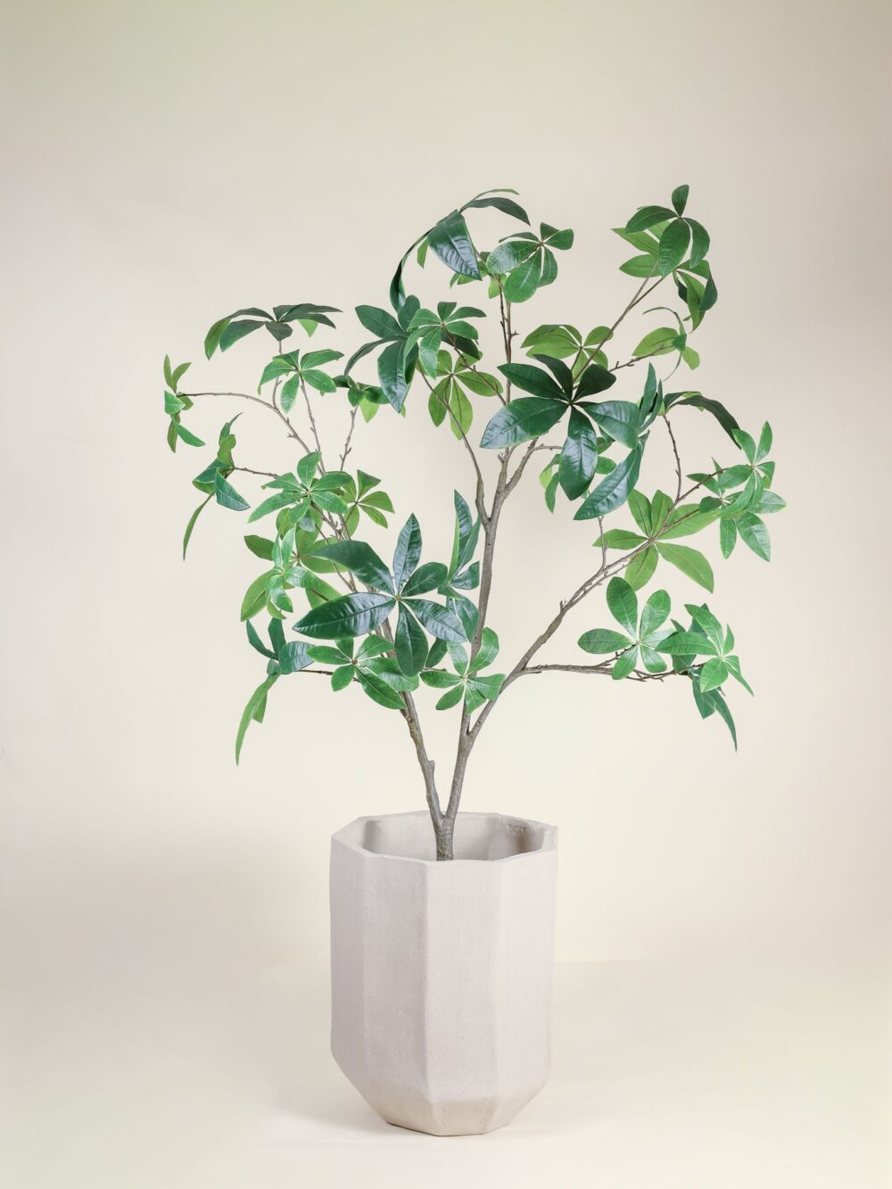 Pachira kunstbooom Silk-ka 205 cm