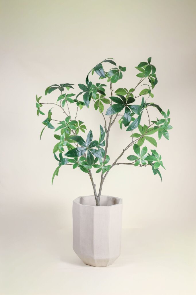 Pachira kunstbooom Silk-ka 205 cm