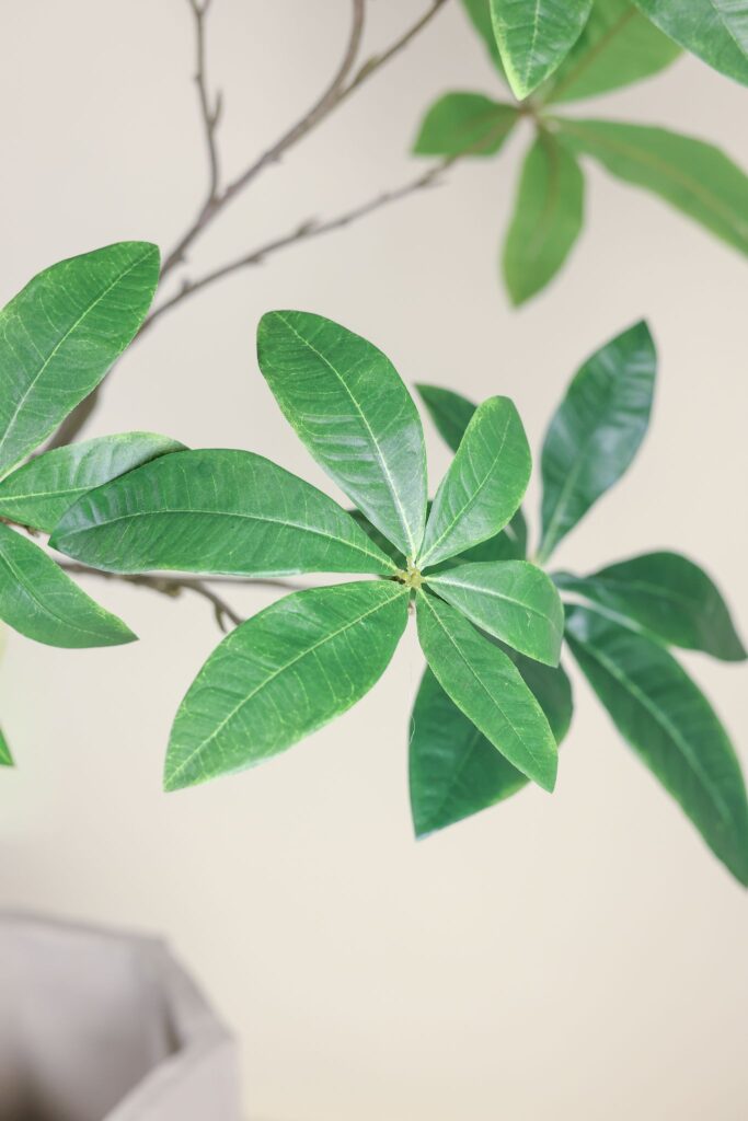 Pachira kunstbooom Silk-ka 205 cm