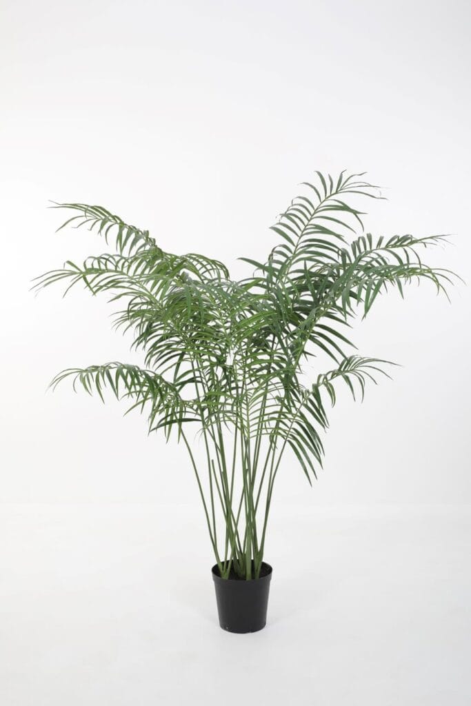 Palmboom Deluxe 180 cm – Luxe tropische kunstpalm voor een stijlvol interieur
