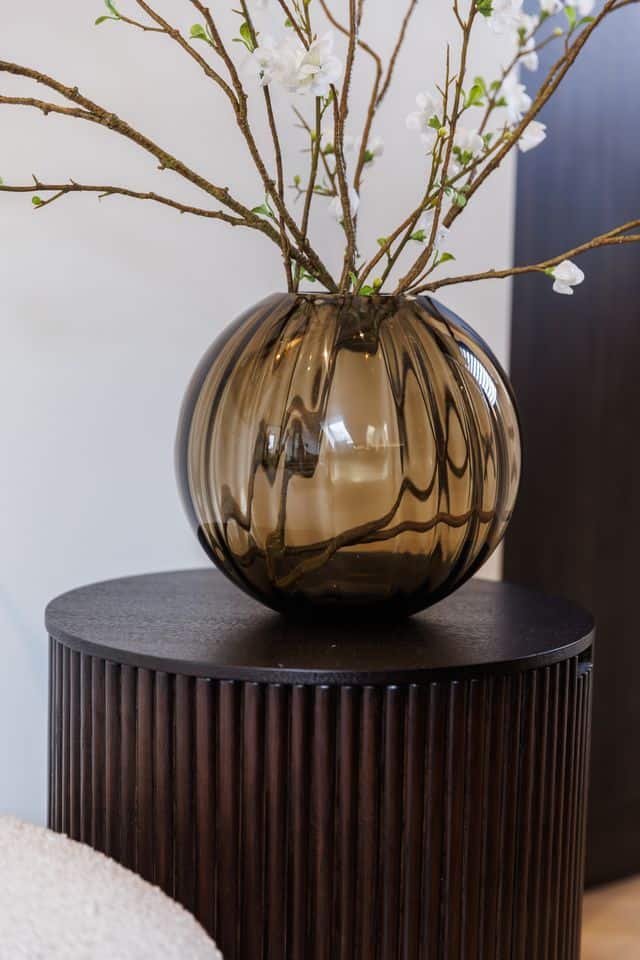 Vaas Bombyxx Nola Large