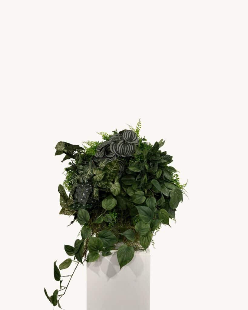 Greencircle dia 60cm