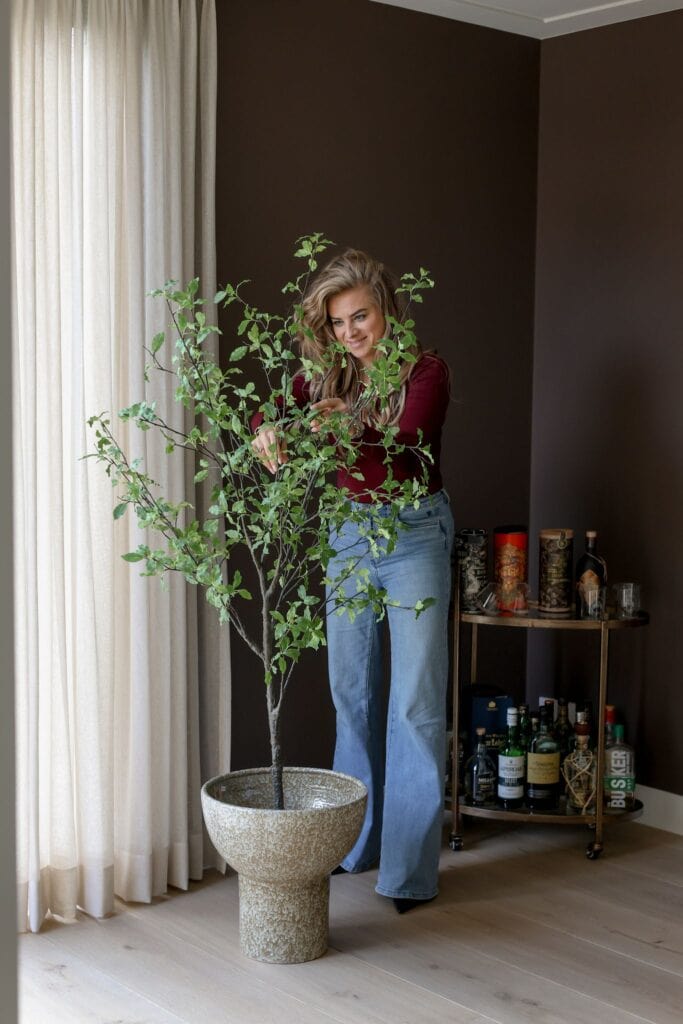 kunstboom Pittosporum in Pot 165cm