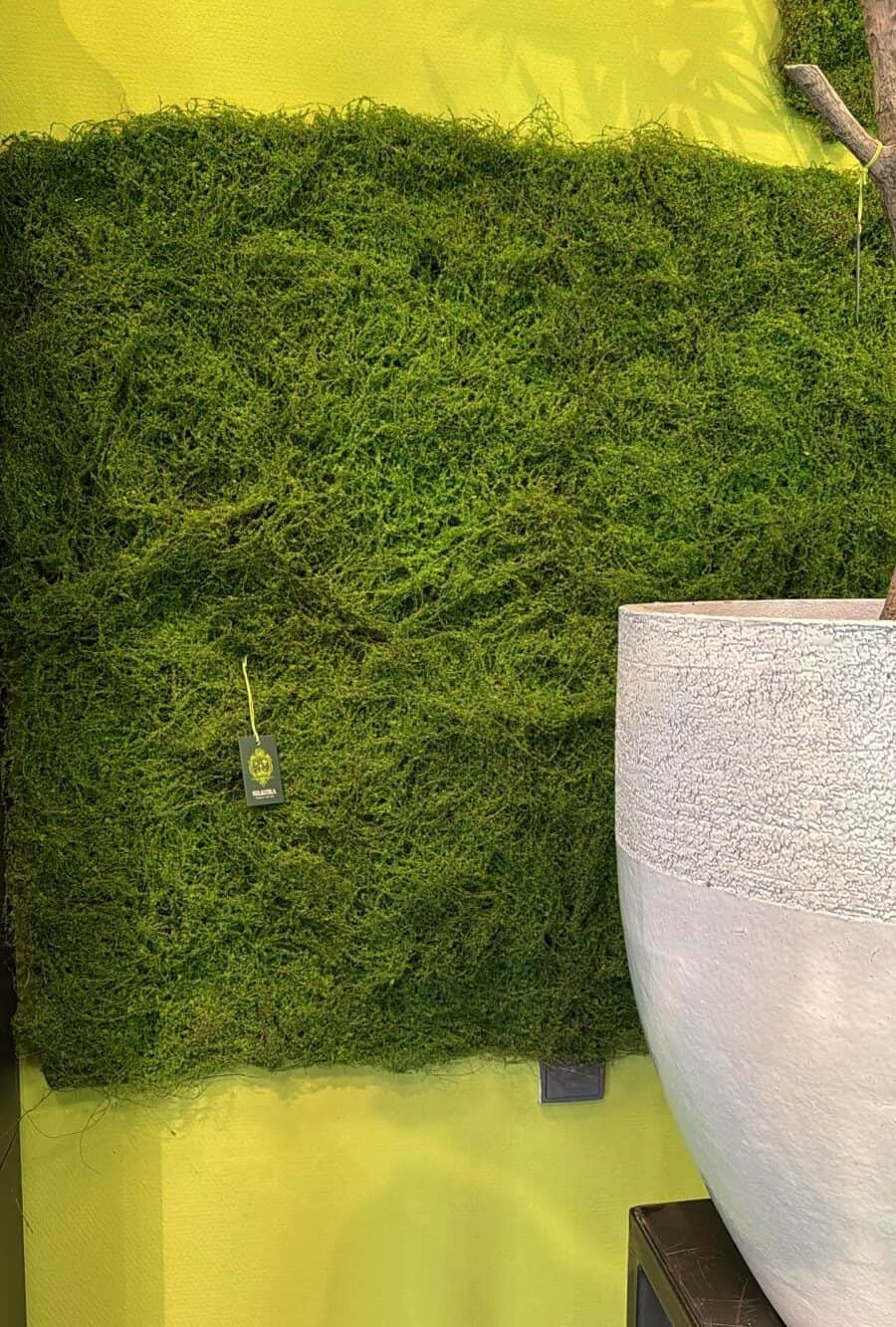 Mos gras mat Silk-ka