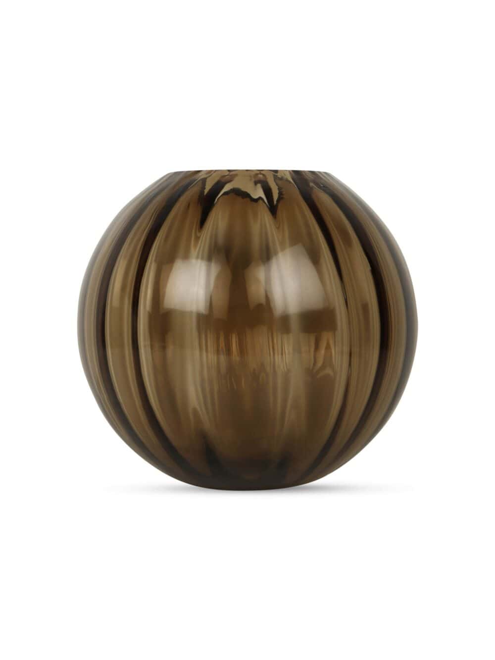 Vaas Bombyxx Nola Large