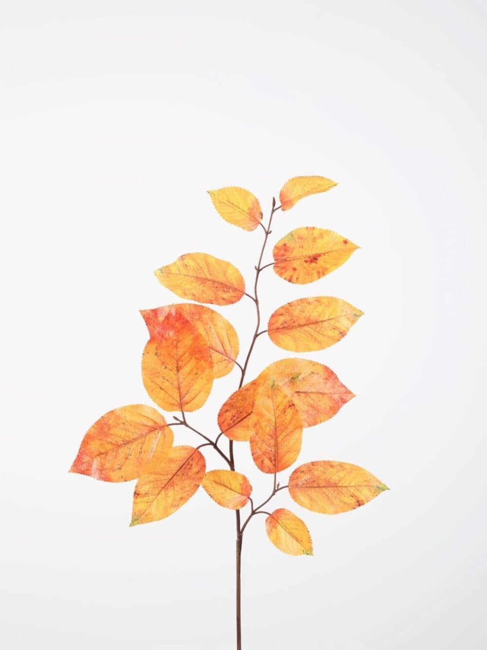 Appeltjesblad oranje deluxe 74cm