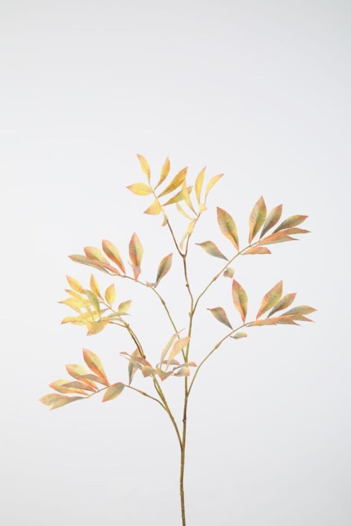 Luxe Kastanjeblad tak 97 cm