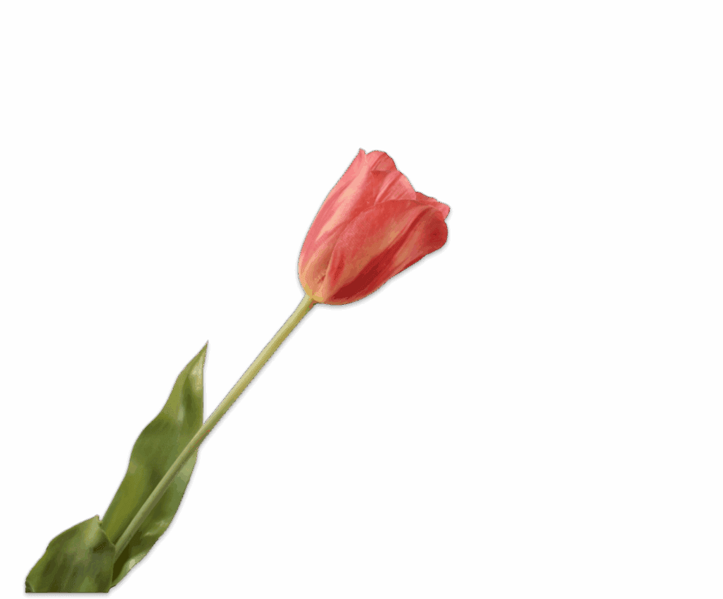 Zijden kunsttulp Silk‑ka rood