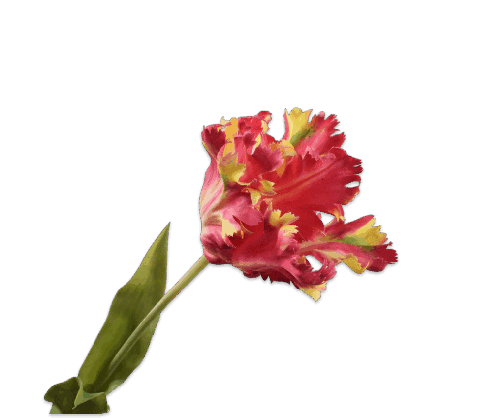 Kunsttulp rood geel Silk‑ka