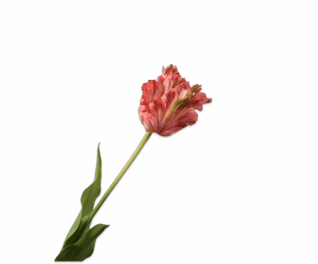 Kunsttulp papegaai meerkleurig Silk‑ka