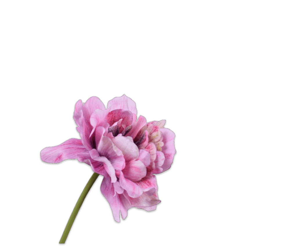 Kunsttulp donker roze Silk‑ka