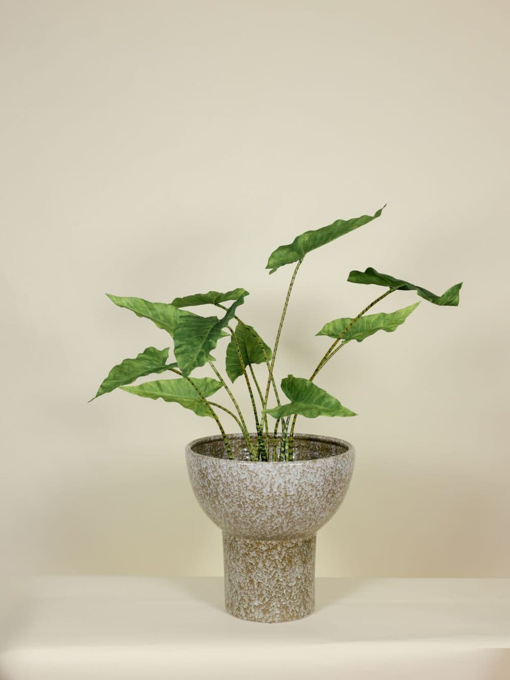 Kunstplant Alocasia Zebrina 85cm