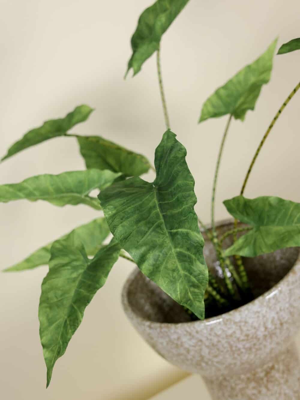 Kunstplant Alocasia Zebrina 85cm