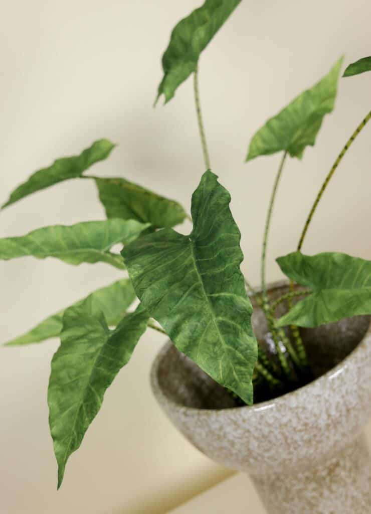 Kunstplant Alocasia Zebrina 85cm