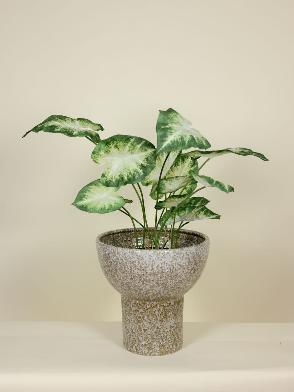 Kunstplant real touch Caladium in Pot 80cm