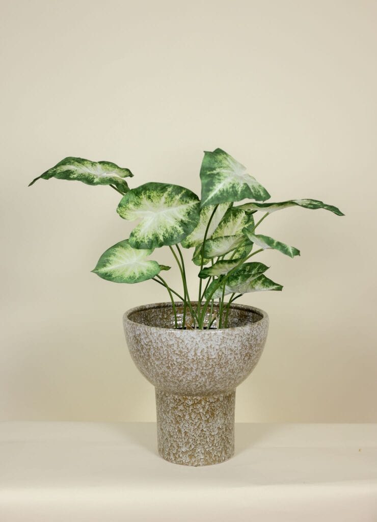Kunstplant real touch Caladium in Pot 80cm