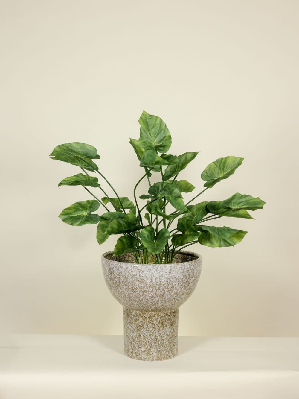 Kunstplant Caladium steker 70 cm