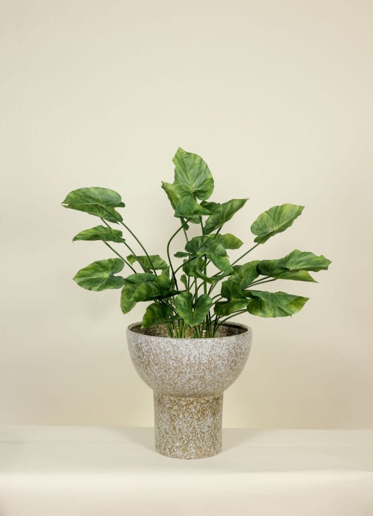 Kunstplant Caladium steker 70 cm