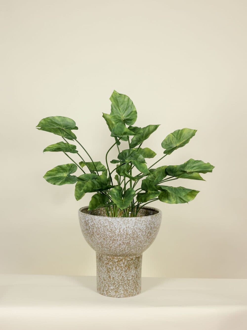 Kunstplant Caladium steker 70 cm